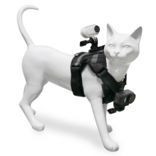 Крепление GoPro/Insts360/DJI на кошку или маленькую собаку